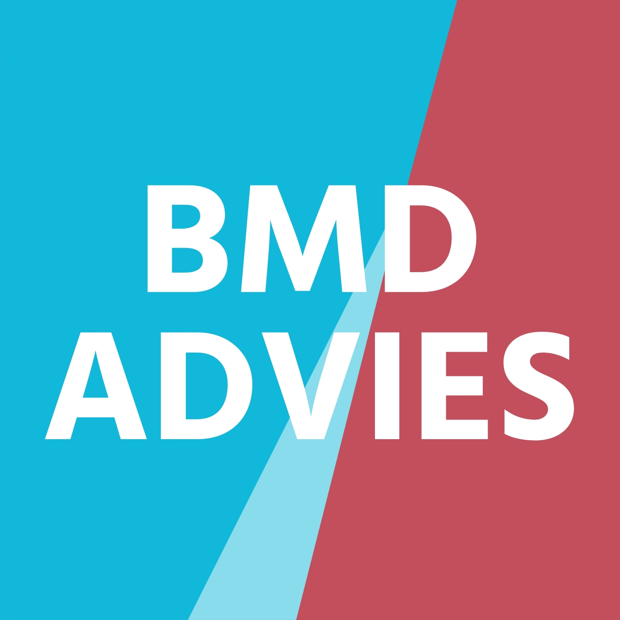 BMD Advies